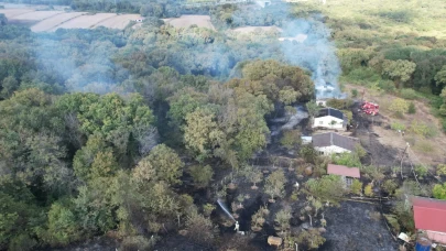 İstanbul’da yangın alarmı: Çayırlık alanda başlayan yangın evlere ve ormanlık alana sıçradı
