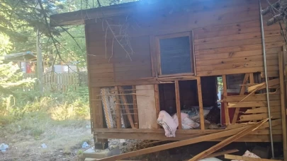 Uludağ’da ayılar barakaları talana dönüştürdü