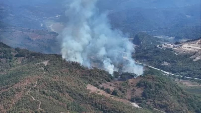 Düzce'de korkutan yangın