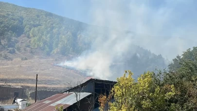 Gümüşhane'de çıkan orman yangını söndürüldü