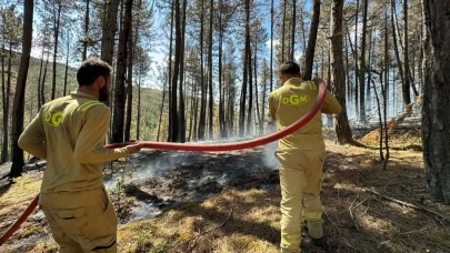 Karabük’te orman yangını!