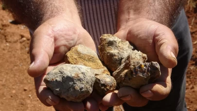 Bayburt'ta kehribarın zorlu mesaisi