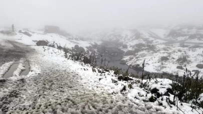 Ardahan ve Kars’ta yüksek kesimlerde kar yağışı ve sis etkili oldu