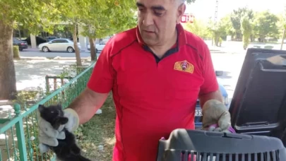 Erzincan’da otomobil motoruna sıkışan kedi yavrusu itfaiye tarafından kurtarıldı