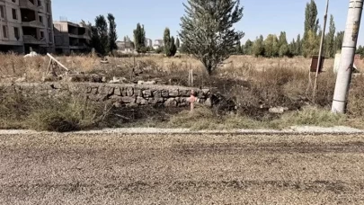 Otları yakmak isterken alevlerin arasına düştü