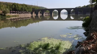 Dicle Nehri'nde balık ölümleri