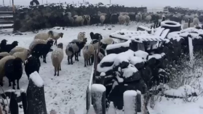 Artvin yaylaları şaşırttı: Yaz daha bitmeden kış selam verdi!