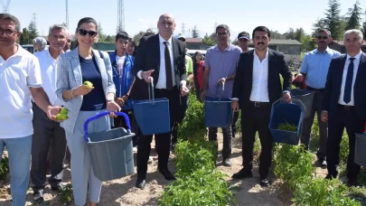 Karapınar'da "Doğayla El Ele Öğreniyorum, Üretiyorum, Paylaşıyorum" projesi meyvelerini veriyor