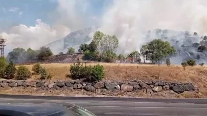 Sivas'ta ağaçlık alanda yangın