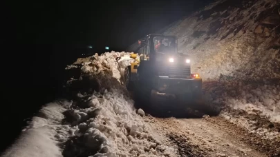 Trovit Yaylası'nda yeniden çığ yaşandı