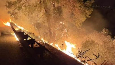 Sakar rampasında orman yangını