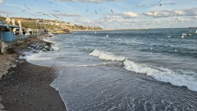 Marmara Denizi'nde poyraz ulaşımı olumsuz etkiledi