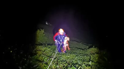 Rize'de uçurumdan düşen turist hayatını kaybetti