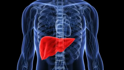 Karaciğerinizi yenilemeye hazırmısınız?