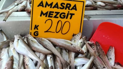 Balıkçılar palamut için "kestane karası"nı bekliyor