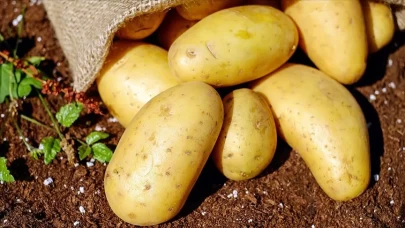 Patates sağlıklı ama dikkat! Yanlış tüketim ciddi sağlık sorunlarına yol açabilir