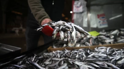 Denizden gelen bereket: Hamsi sezonu yüzleri güldürdü