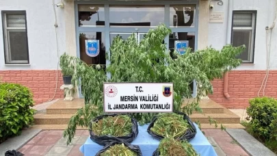 Mersin’de zehir tacirlerine darbe: Tonlarca uyuşturucu ele geçirildi
