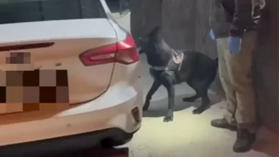 Dedektör köpek Tony, araçta uyuşturucuyu ortaya çıkardı: 3 gözaltı