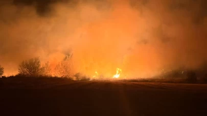 Edirne’de buğday tarlasında yangın! Ekipler müdahale etti