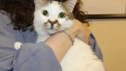 Şehir değiştirince depresyona girmişti! Tedavi yöntemi herkesi şaşırttı