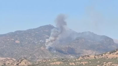 Aydın'da zeytinlik yangını