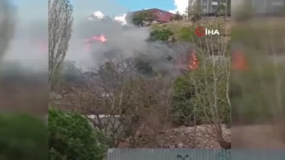 Kağıthane'de ağaçlık alan alev alev yandı!