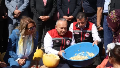 Nevşehir’de kabak çekirdeği hasadı başladı