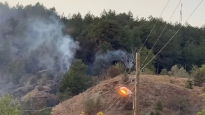 Karabük’te yangın 3 saatte kontrol altına alındı