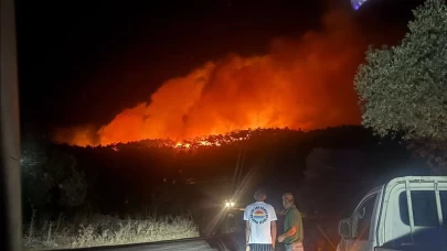 Milas'ta orman yangını müdahale devam ediyor