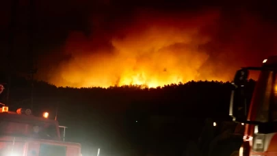 Türkiye’de orman yangınlarında son durum! Bakan Yumaklı bilgi verdi