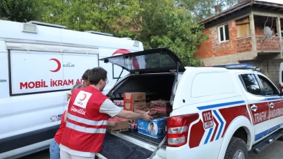 Türk Kızılayı'ndan yangın bölgesine destek