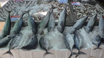 Sinop’ta torik bolluğu: Tanesi 800 TL