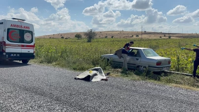 Komşudan kardeşlere kanlı pusu: 2 ölü