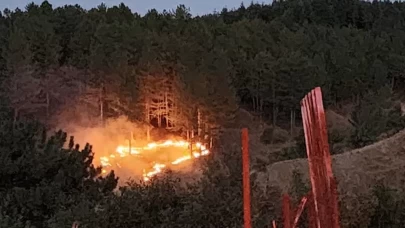 Bingöl’de çıkan orman yangını kontrol altına alındı