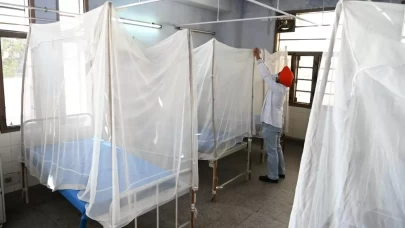 Hindistan'ın Kerala eyaletinde "beyin yiyen amip"ten 19 kişi hayatını kaybetti