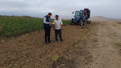 Şeker pancarı hasadı başladı