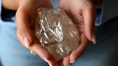 Dünyanın en büyük elması için fiyat belirleniyor