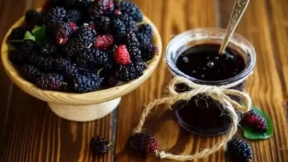 Karadut Özü Nasıl Yapılır?