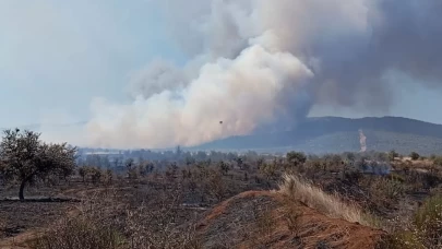 Çanakkale’de tarım arazisinde korkutan yangın: Havan ve karadan müdahale sürüyor