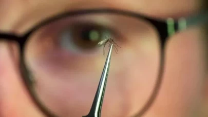 Çin'de halk sağlığı acil durumu ilan edildi