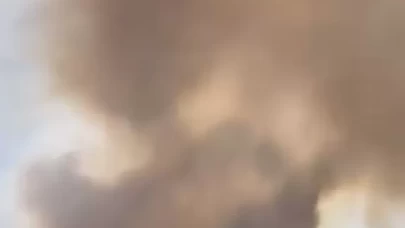 Hatay'da zeytinlik alanda yangın