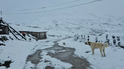 Rize'de yüksek kesimlere kar yağdı