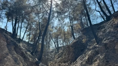 Evini yangından korumak için mücadele ederken kalp krizi geçirdi