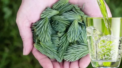 Çamdallı suyla tanışın, vücudunuzdaki değişikliği fark edeceksiniz