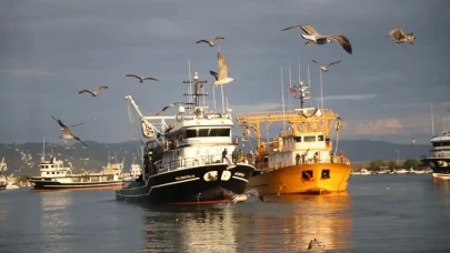 Karadeniz'de hamsi bolluğu balıkçıların yüzünü güldürdü
