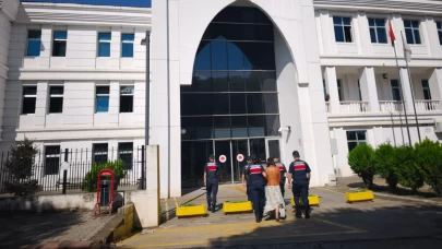 Giresun’da fındık hırsızlığına tutuklama: 2 şüpheli cezaevinde