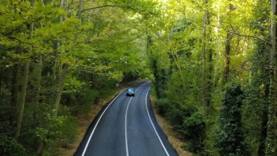 Safranbolu’nun ağaç tüneli: Yeşilin içinde büyüleyici yolculuk keyfi