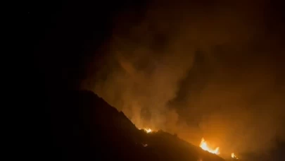 Elektrik tellerinden çıkan yangında ağaçlık alan alevlere teslim oldu