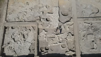 Nerik'te 3 bin 500 yıllık fındık fosili bulundu